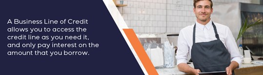 Business Line of Credit allows you to access the credit line as you need it