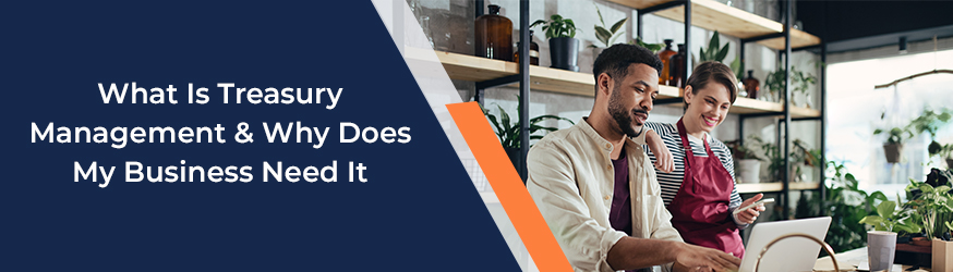 What is Treasury Management and why does my business need it?