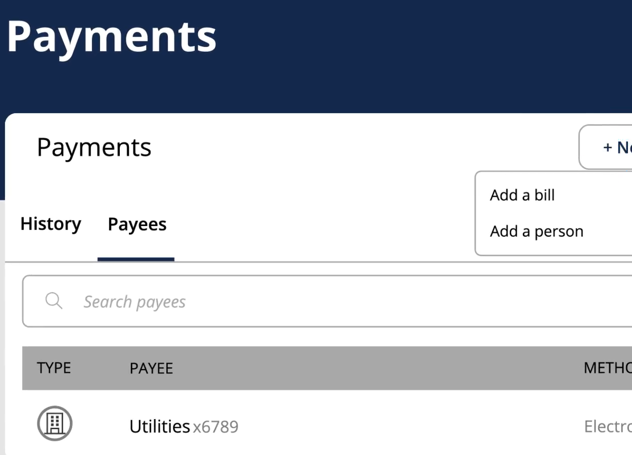 payment view